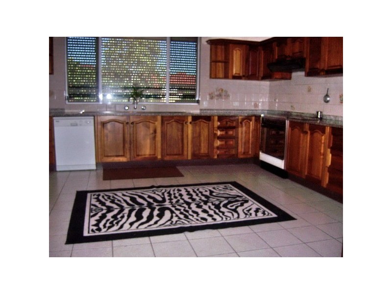 59 Park Rd, Auburn NSW 2144