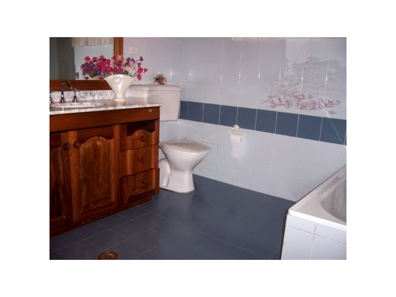 59 Park Rd, Auburn NSW 2144