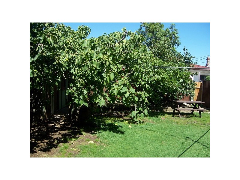 59 Park Rd, Auburn NSW 2144