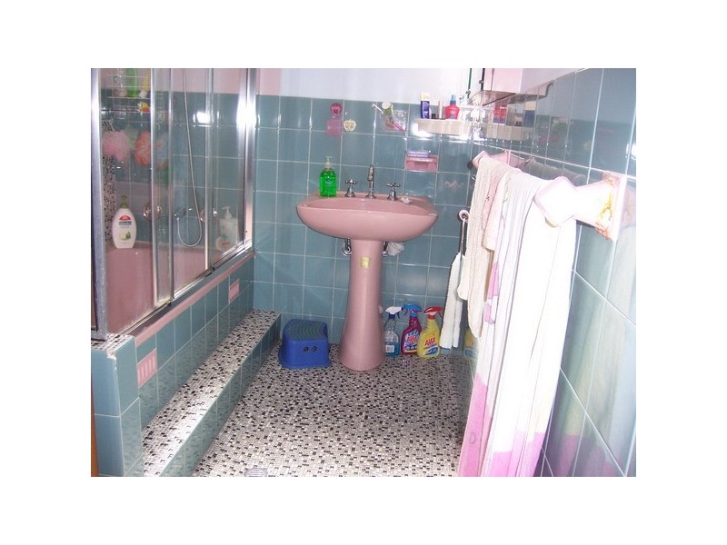 33 Elm Rd, Auburn NSW 2144