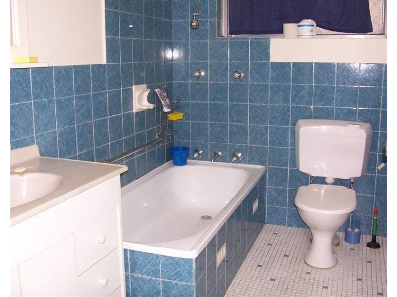 66 Dartbrook Road, Auburn NSW 2144