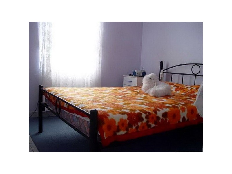 169 Miller Road, Chester Hill NSW 2162