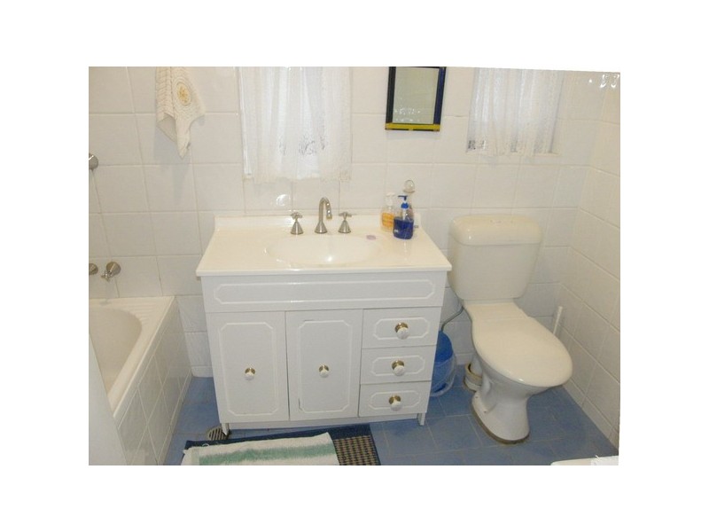 169 Miller Road, Chester Hill NSW 2162