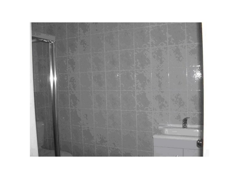 111 Rawson Street, Auburn NSW 2144