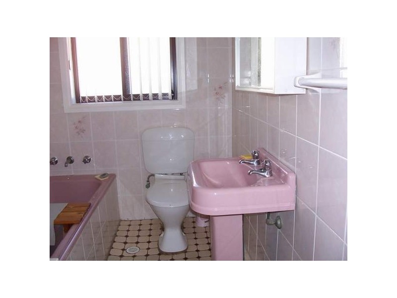 65 Esme Avenue, Chester Hill NSW 2162