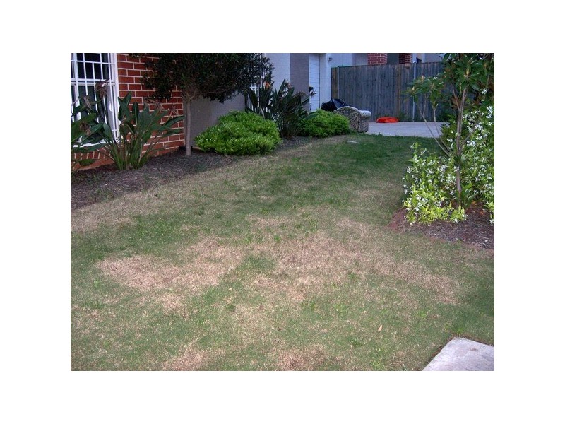 2 Ashgrove St, Auburn NSW 2144