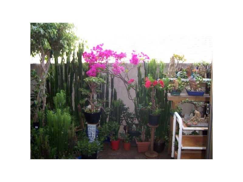 10/17 Macquarie Rd, Auburn NSW 2144