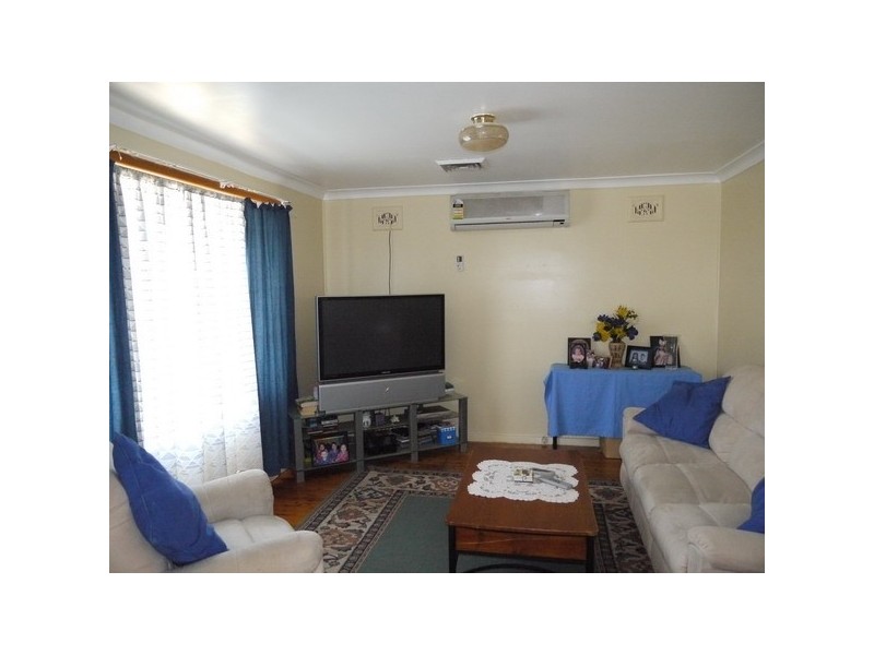 386 Elizabeth Drive, Mount Pritchard NSW 2170