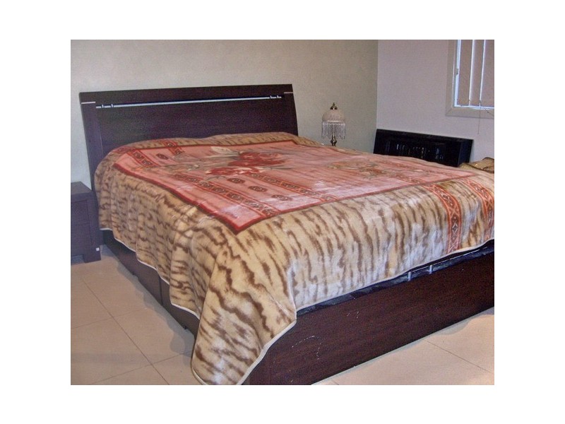 232 Cumberland Rd, Auburn NSW 2144