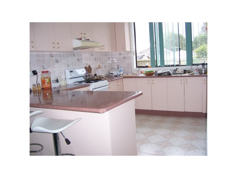 95 Chiswick Rd, Auburn NSW 2144