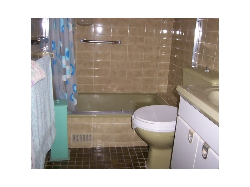 39 Elm Rd, Auburn NSW 2144