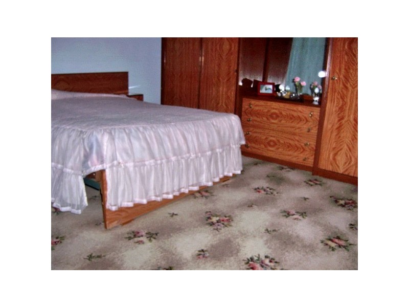 39 Elm Rd, Auburn NSW 2144