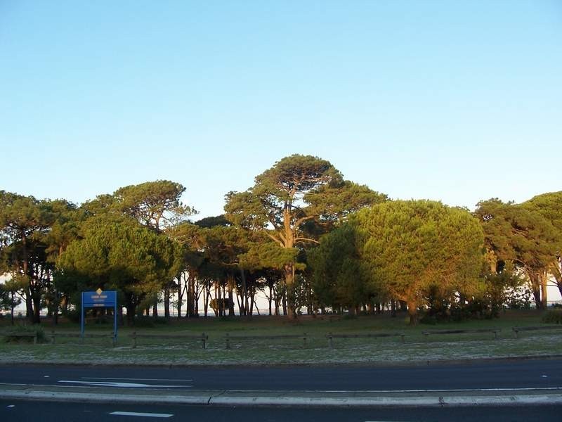 320  The Grand Parade, Sans Souci NSW 2219