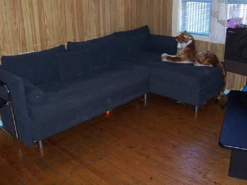 21 York Street, Berala NSW 2141