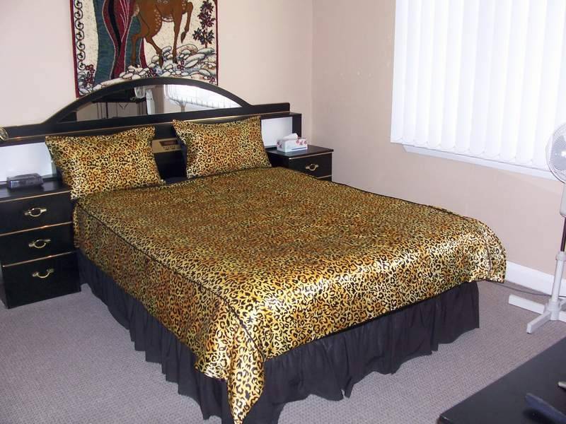 58  Mary Street, Auburn NSW 2144