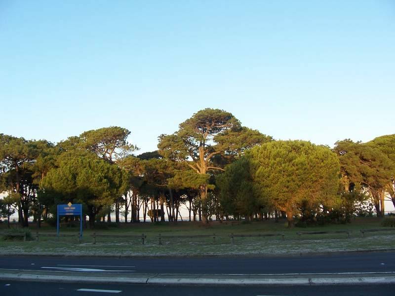 320 The Grand Parade, Sans Souci NSW 2219