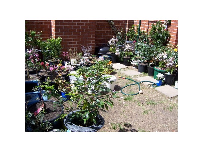 2/1-3  Kennington Oval, Auburn NSW 2144
