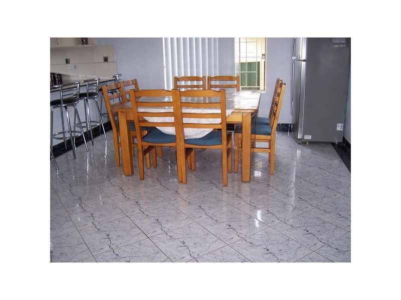 58  Paul, Auburn NSW 2144