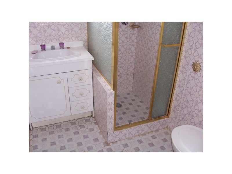 2  Gibbs Street, Auburn NSW 2144