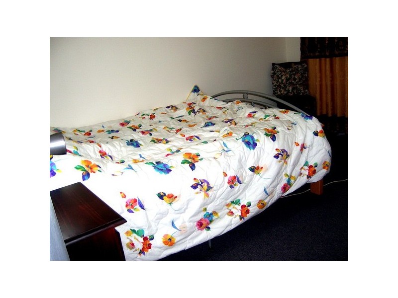 2/30  Park Rd, Auburn NSW 2144