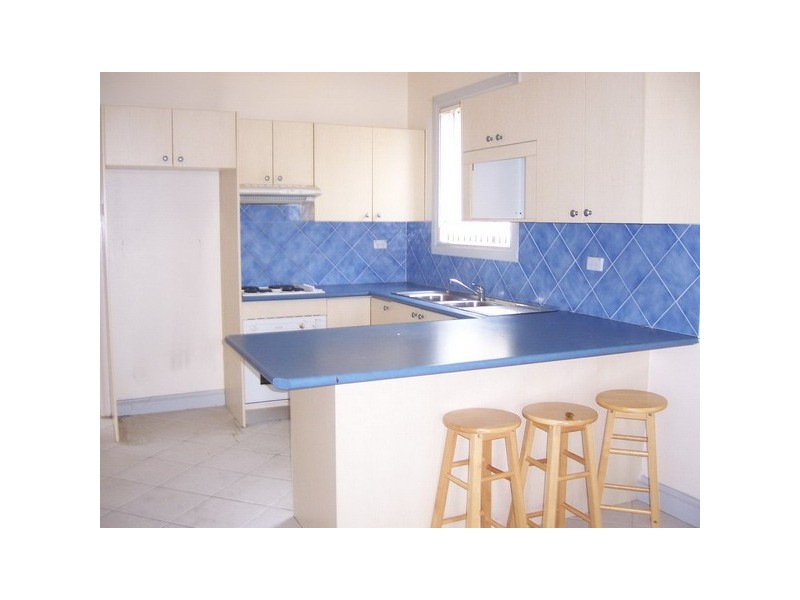 24  Mona Street, Auburn NSW 2144