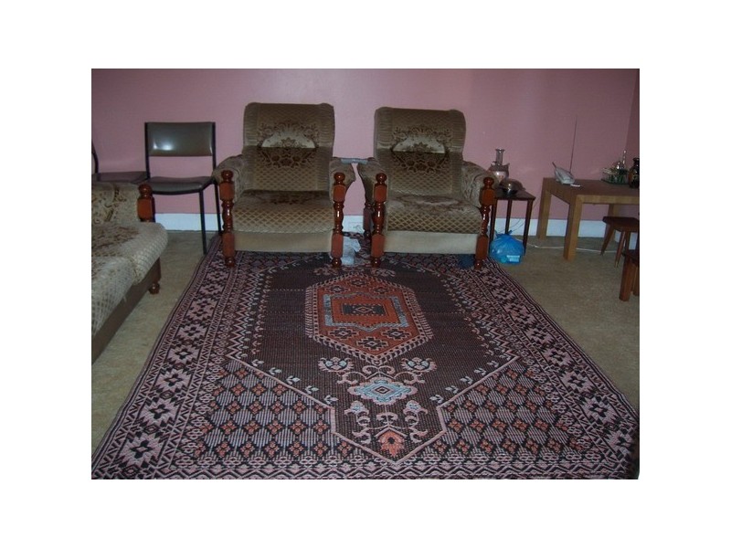 36  Marion St, Auburn NSW 2144