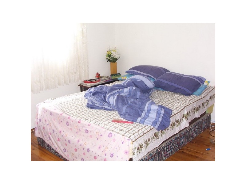 29  Hampstead Rd, Auburn NSW 2144