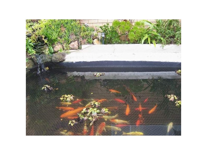 52  Lewis St, Regents Park NSW 2143