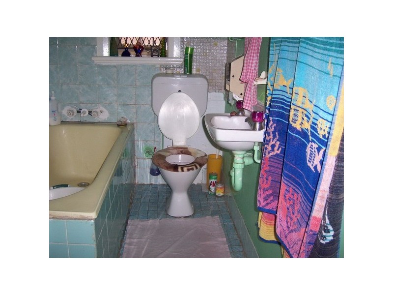 84 Blaxcell St, Granville NSW 2142