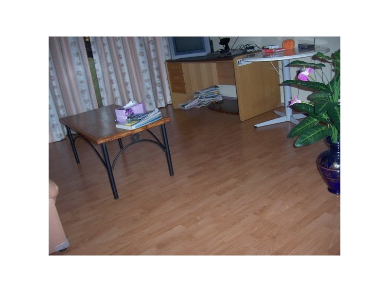 13/8  Mary St, Granville NSW 2142