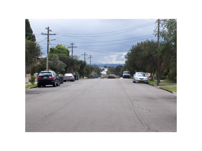 44  Leura Road, Auburn NSW 2144