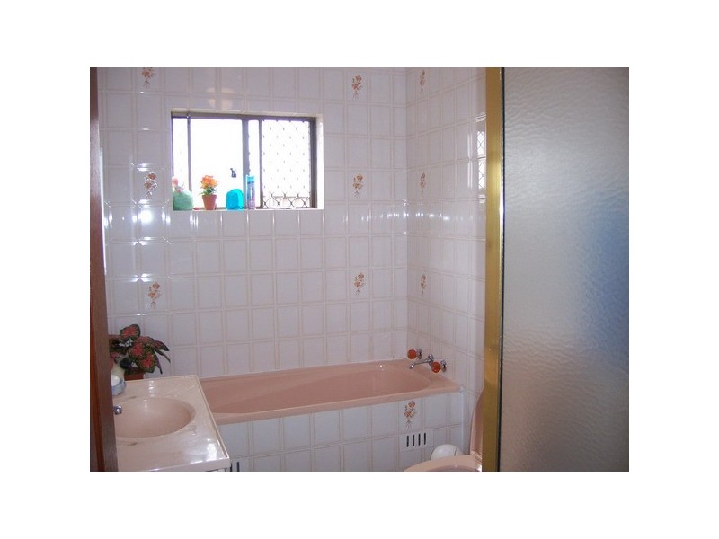 17  Chestnut Road, Auburn NSW 2144