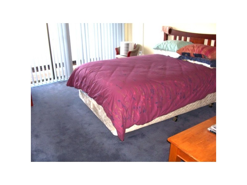 62  Yerrick Road, Lakemba NSW 2195