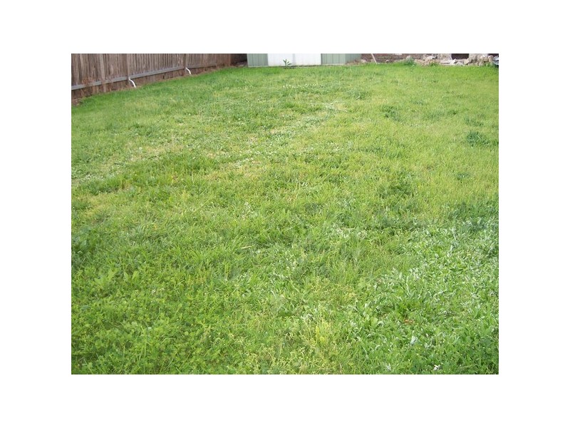 11  Brunswick St, Granville NSW 2142