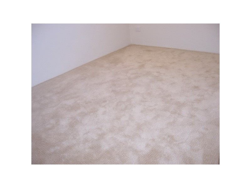 12/86  St Hilliers Rd, Auburn NSW 2144