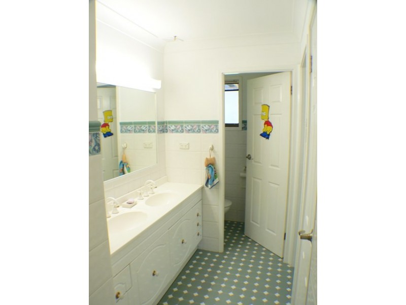 43  Shadlow Crescent, St Clair NSW 2759