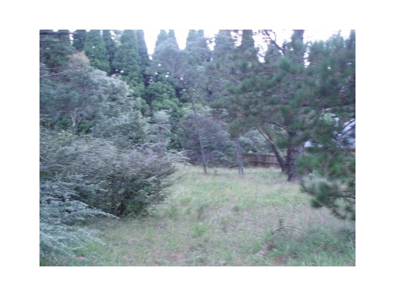 49 Waratah Road, Wentworth Falls NSW 2782