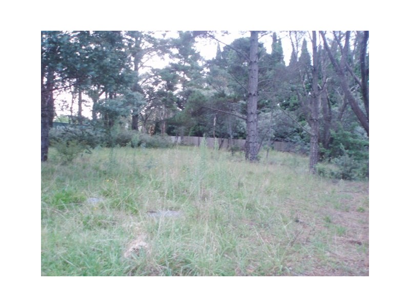 49 Waratah Road, Wentworth Falls NSW 2782