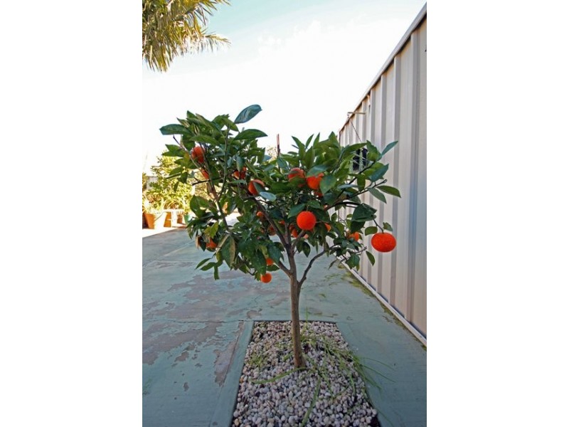 12 Hickory Place, St Clair NSW 2759