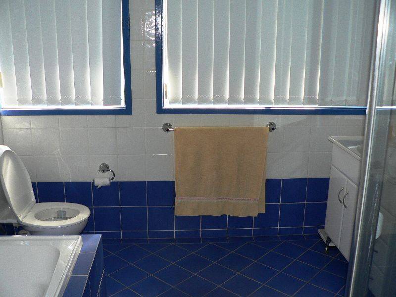 75 St Clair Avenue, St Clair NSW 2759