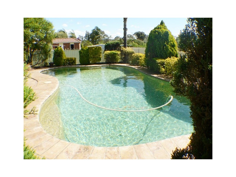 33  Dryberry Avenue, St Clair NSW 2759