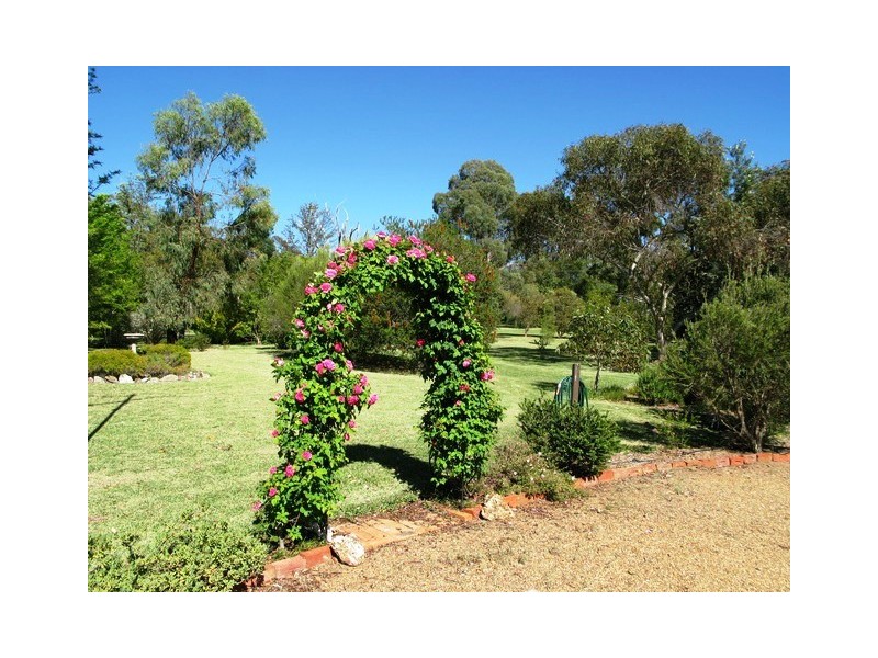 787  Castlereagh Highway, Mullamuddy NSW 2850