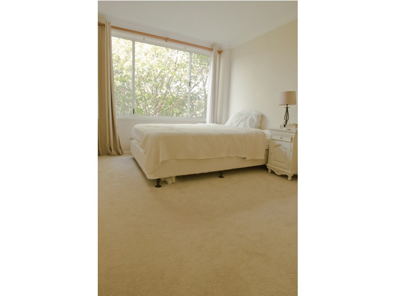 4 Wakely  Place, Forestville NSW 2087