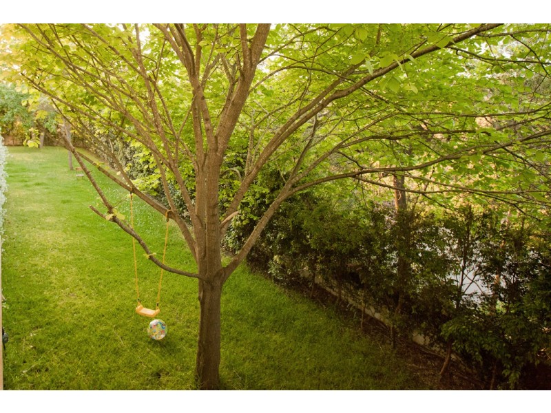 4 Wakely  Place, Forestville NSW 2087