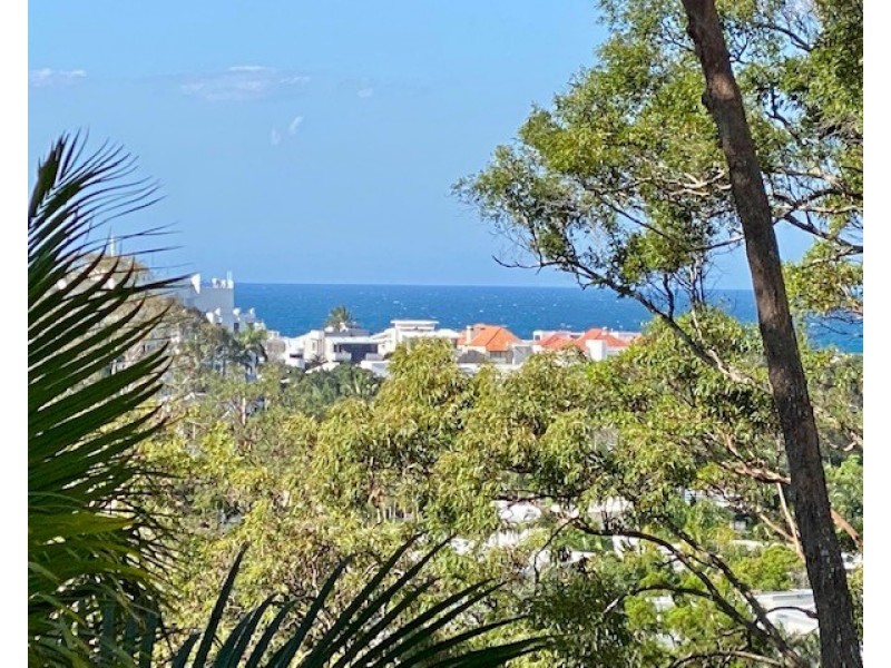 19/2 Serenity Close, Noosa Heads QLD 4567