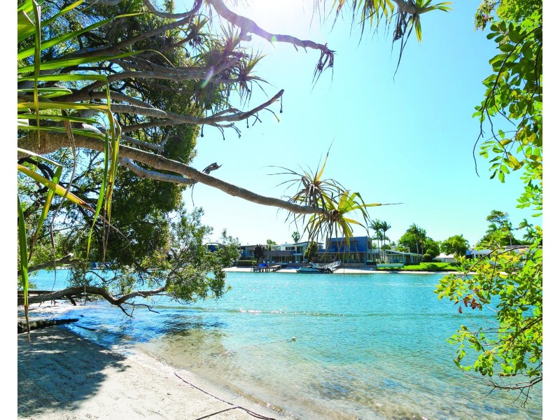 19/2 Serenity Close, Noosa Heads QLD 4567