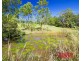 99-105 Jocelyn Drive, Eumundi QLD 4562