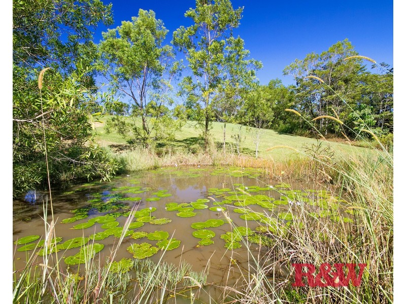 99-105 Jocelyn Drive, Eumundi QLD 4562