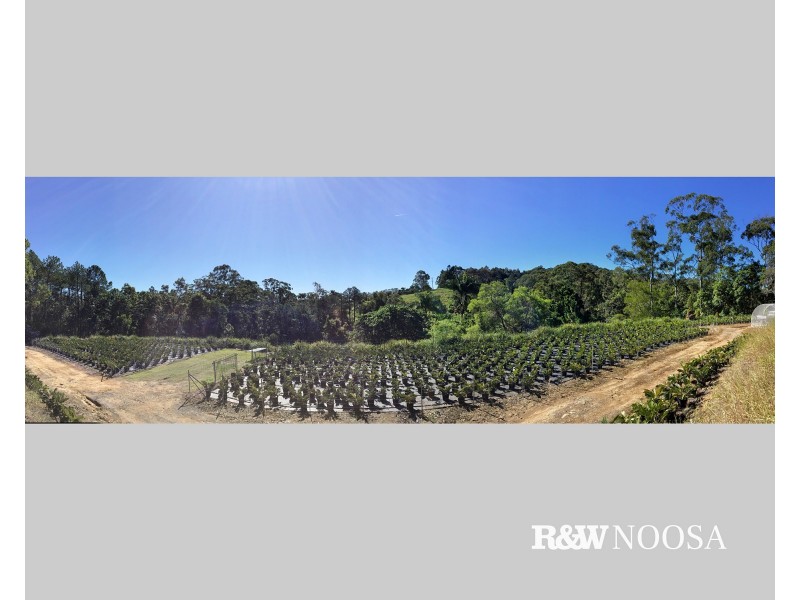 94 Sudholz Road, Verrierdale QLD 4562