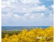 47 Regency Road, Doonan QLD 4562